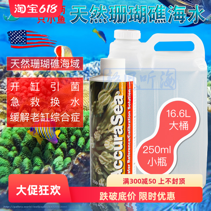 美国两只小鱼天然海水 校准盐度各种