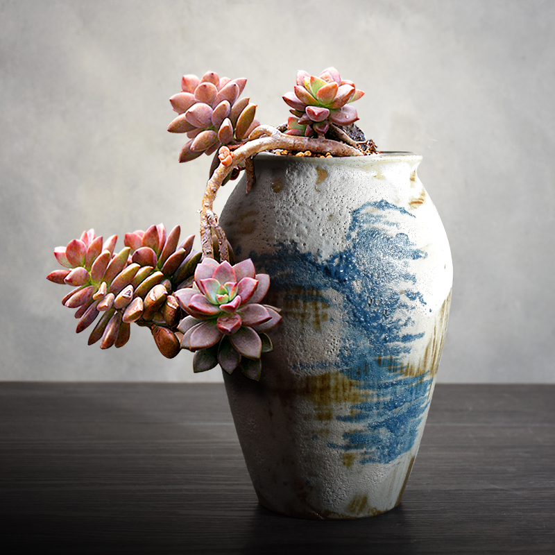 透气多肉花盆创意陶瓷多肉植物老桩盆法师粗陶绿植物陶罐手工花盆