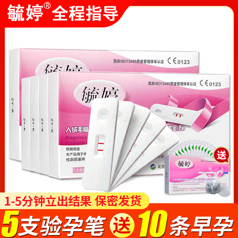 Yuting Pregnancy tests Early pregnancy 5 10 Pregnancy Dipstick Pregnancy test pen Pregnancy test test Pregnantin the OTC Drug/Medical Devices/Planning supplies , Planning supplies , Pregnancy test strips category - from Buy2taobao.com to provide professional Taobao agent buy service