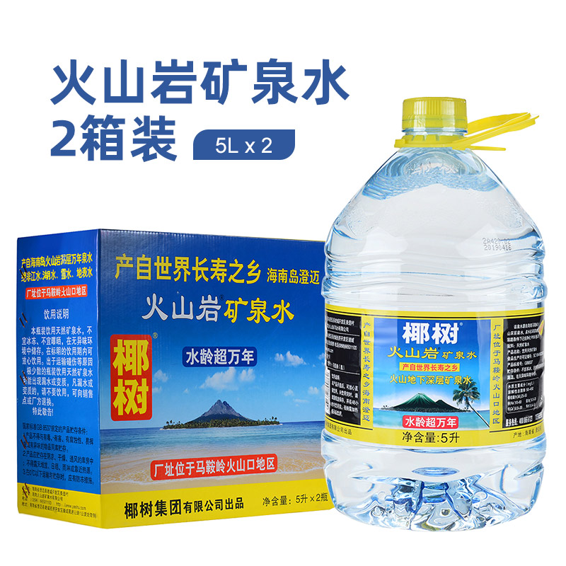 2箱装椰树牌火山岩天然矿泉水饮用水泡茶水生活会用水5L*2桶 DB