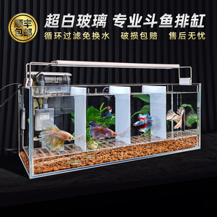 泰国斗鱼专用排缸多格组合孔雀鱼国斗鱼缸隔离超白玻璃专业用组缸