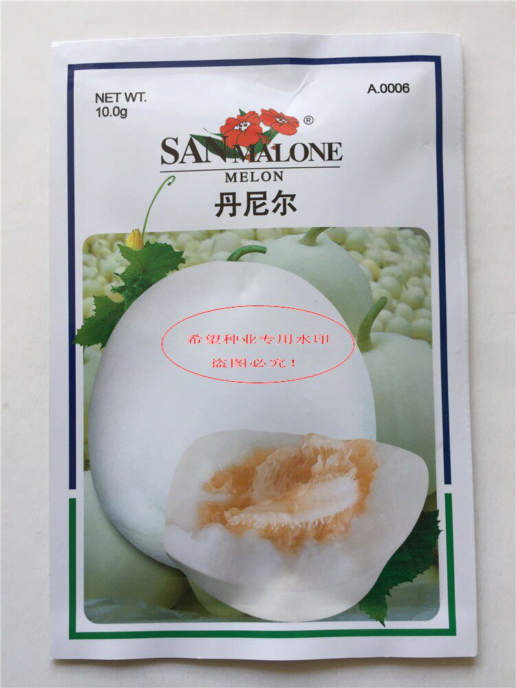 丹尼尔甜瓜美国进口白皮甜瓜种子糖度高口感佳白梨瓜早熟杂交品种