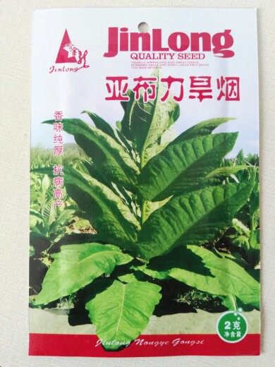 种子旱烟亚布力东北植物春播2g其它