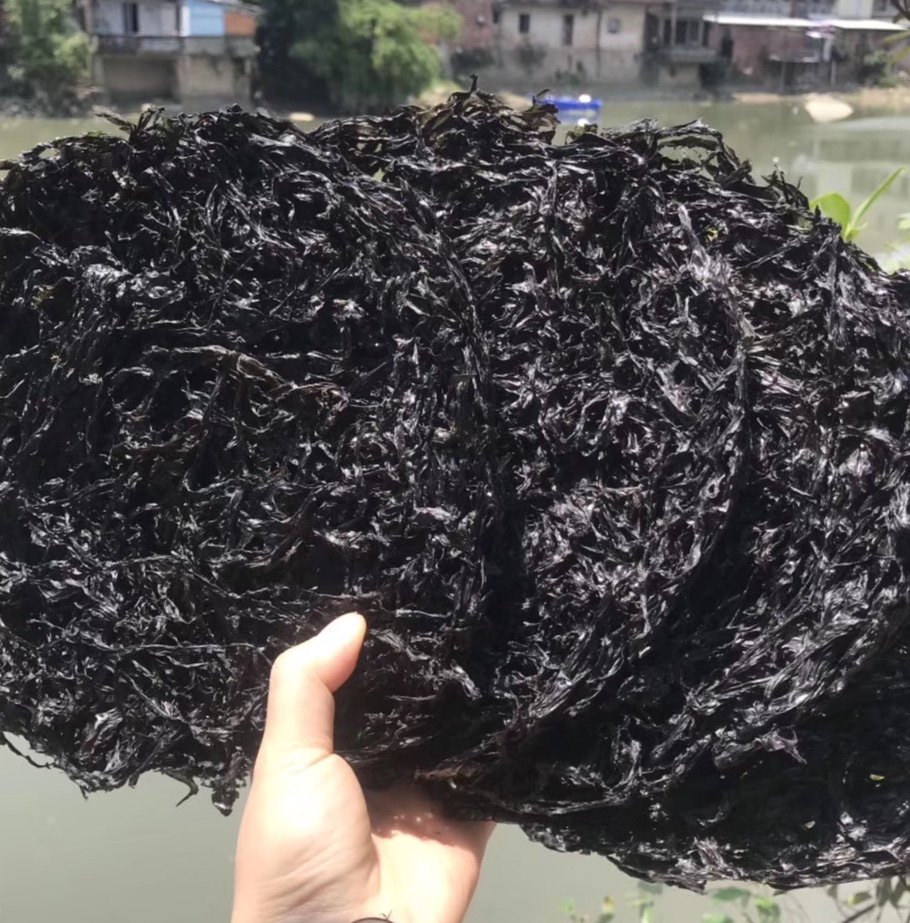 阳江新鲜紫菜干深海免洗紫菜煲汤无沙海苔干特级头水紫菜干货250g