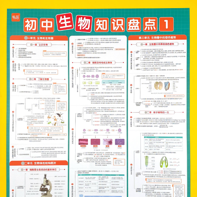 初中生物地理重点知识点大全总结归纳复习资料知识清单表挂图墙贴