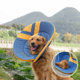 狗狗伊丽莎白圈中大型犬金毛萨摩耻辱圈防舔咬项圈头套绝育脖圈软