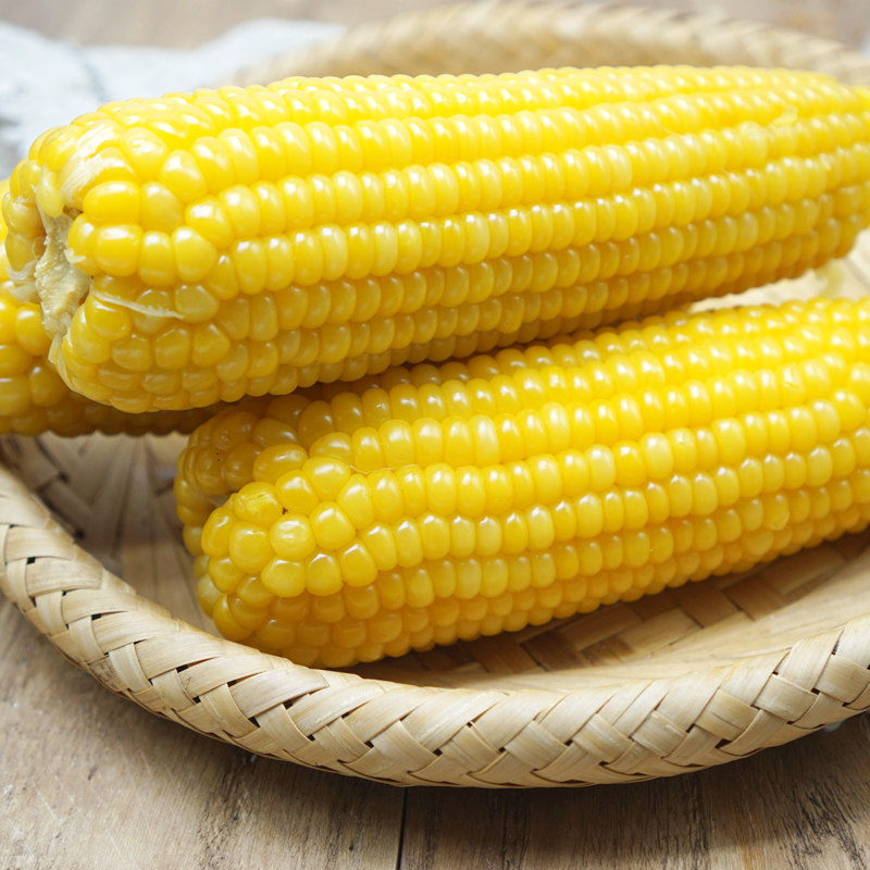 聚怀斋 东北黄糯玉米10支2kg礼盒装 新鲜粘黏玉米 真空包装玉米棒