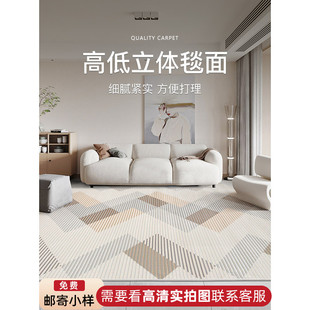 现代客厅地毯茶几毯家用简约轻奢高级感侘寂风卧室床边毯2023新款