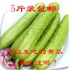 山东烟台海阳农家新鲜蔬菜水果无农药有机白玉黄瓜促销5斤包邮|ru 山东烟台海阳农家新鲜蔬菜水果无农药有机白玉黄瓜促销5斤包邮|ru