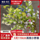 仿真花森系小野花野草假花室内盆景绿植装饰婚庆造景人造花仿真花