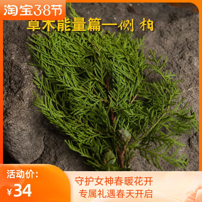 树叶更新时间:2022年04月09日侧柏叶天然生发变黑洗头水绿色干花装饰