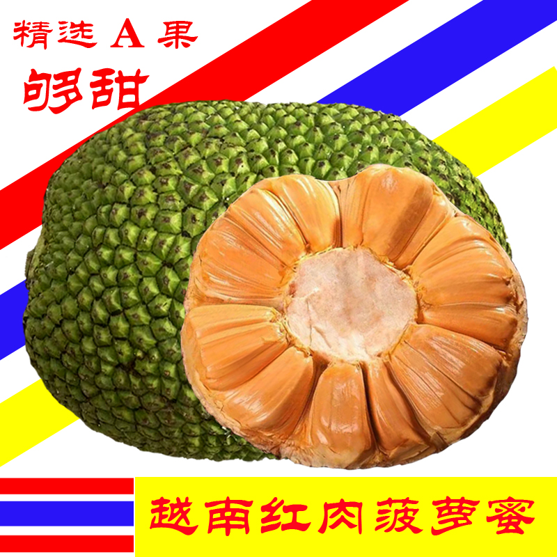 进口红肉菠萝蜜越南红心木波罗大A果