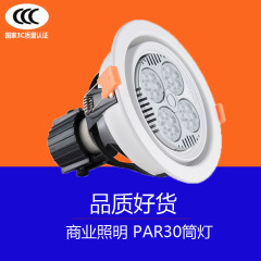 嵌入式PAR30射灯天花灯筒灯孔灯LED轨道射灯35W40W服装店商业展厅