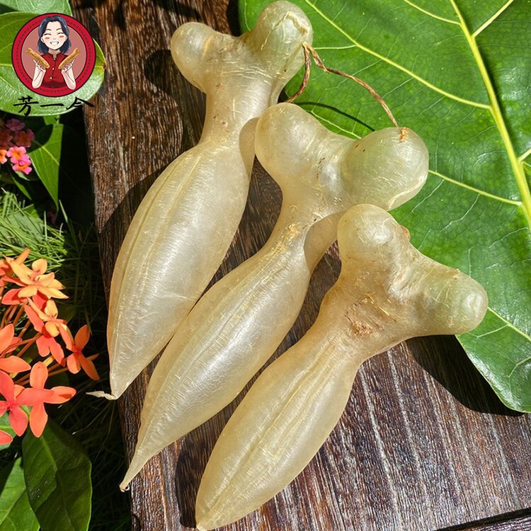 芳一今精选马来蜘蛛胶公胶母胶正越南蜘蛛公胶名贵鱼胶花胶干货