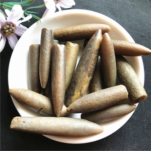 鱼标本动物价格