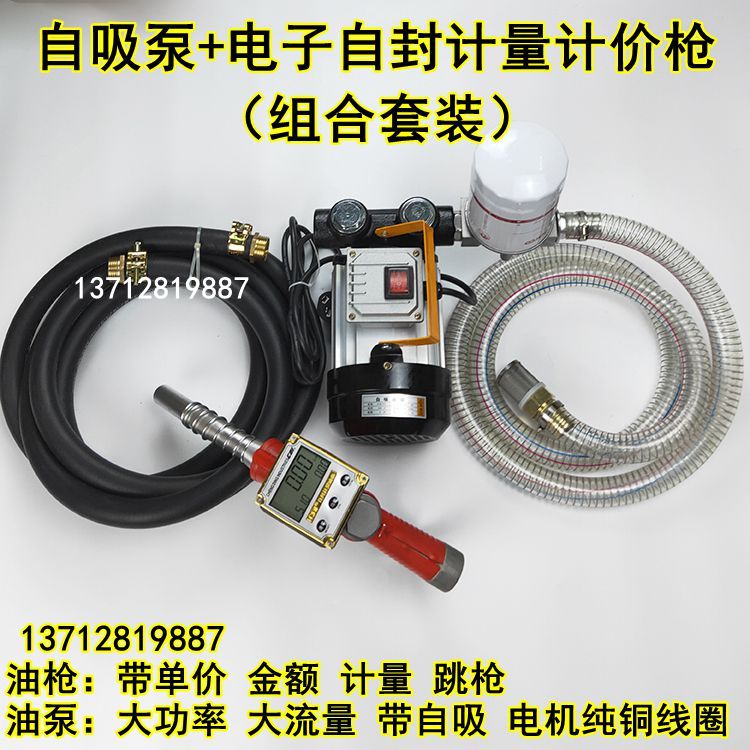 电动抽油泵12V24V220V家用