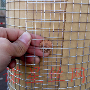 热镀锌小孔养殖防护网大孔围栏加宽加厚加粗镀锌铁丝网1.8米2米宽
