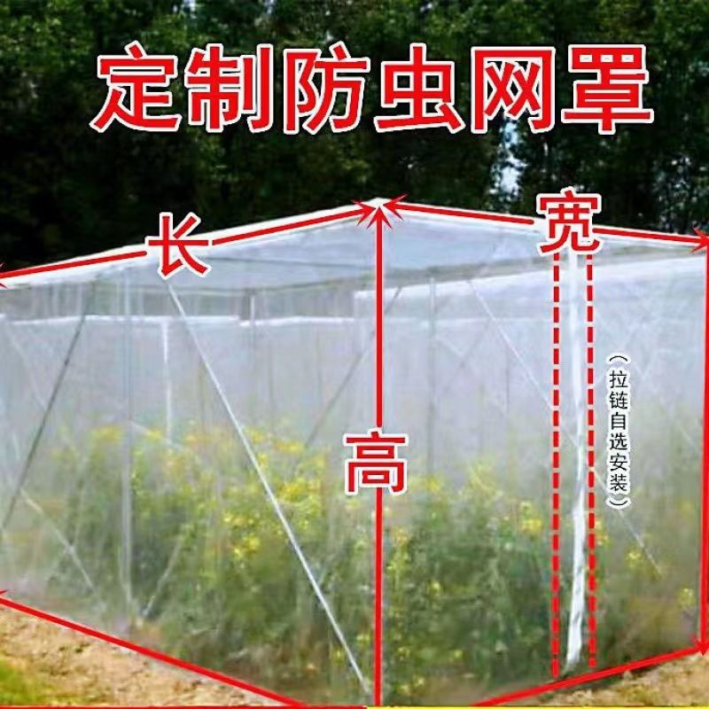 果树防虫网罩蔬菜大棚樱桃杨梅果树防虫防鸟网阳台庭院纱网防柳絮