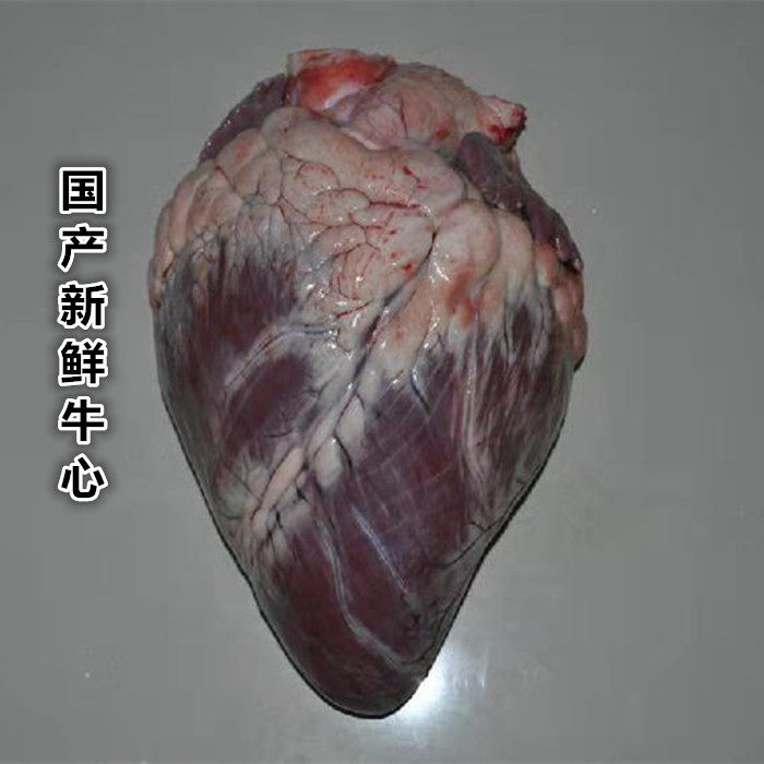 新鲜牛心 国产牛心 河北本地黄牛心 整个牛心 500克单价 生骨肉