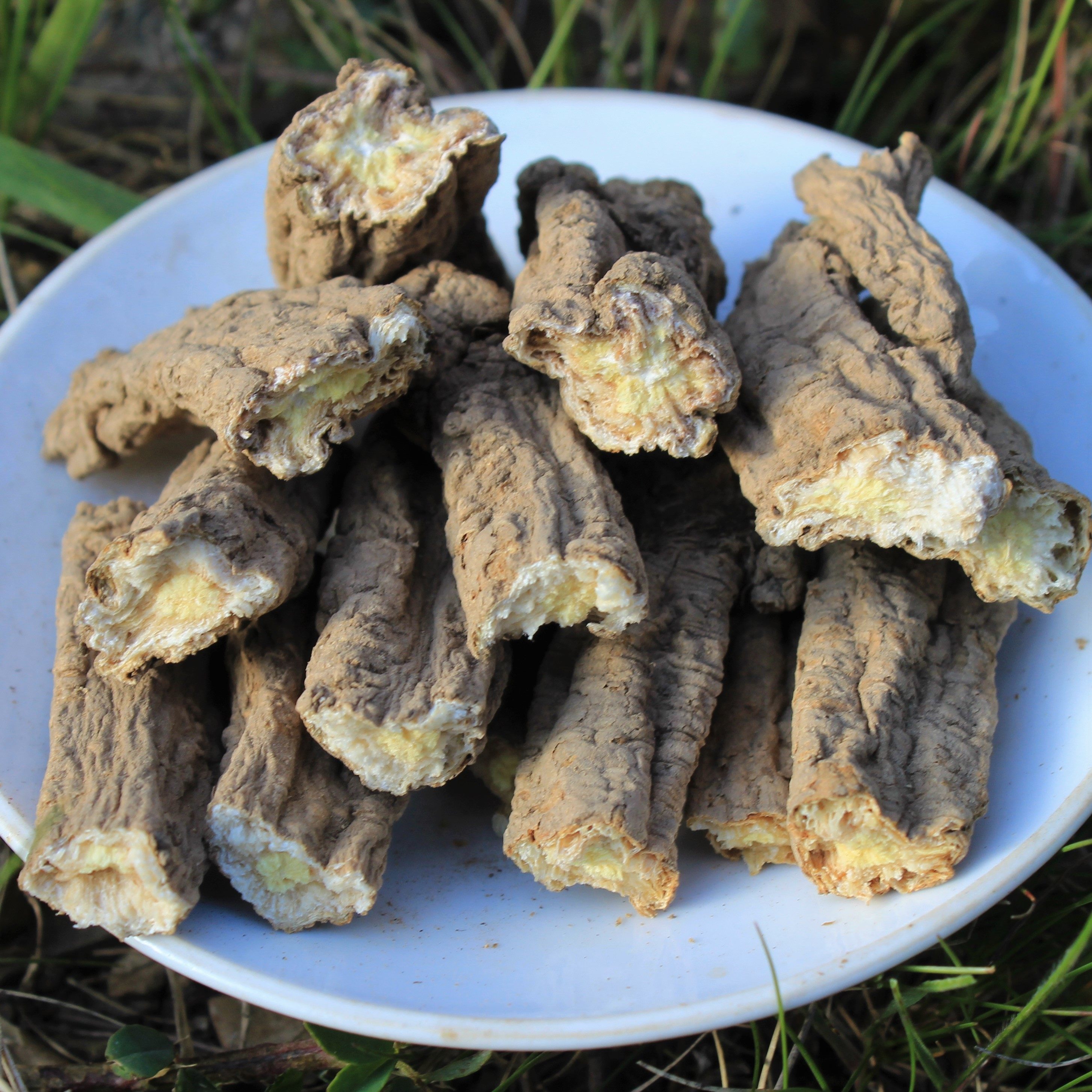 甘肃纯野生250g克党叁特级组合党参