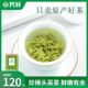 2024年新茶上市芳羽安吉白茶开园头采50g罐装明前高山珍稀绿茶叶
