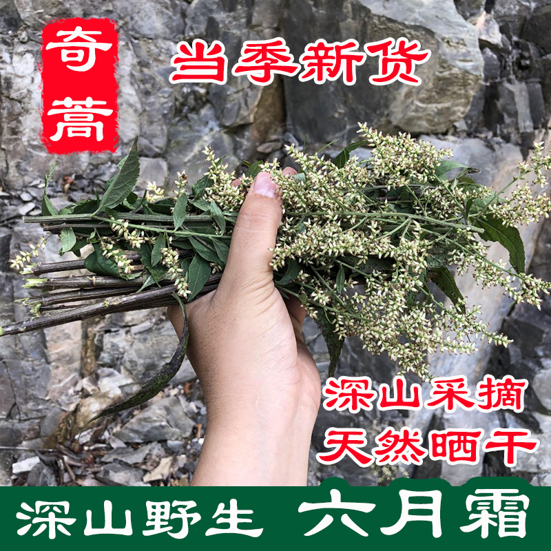 新货野生六月霜茶防中暑解暑热夏季凉茶刘寄奴奇蒿200g干品中药材