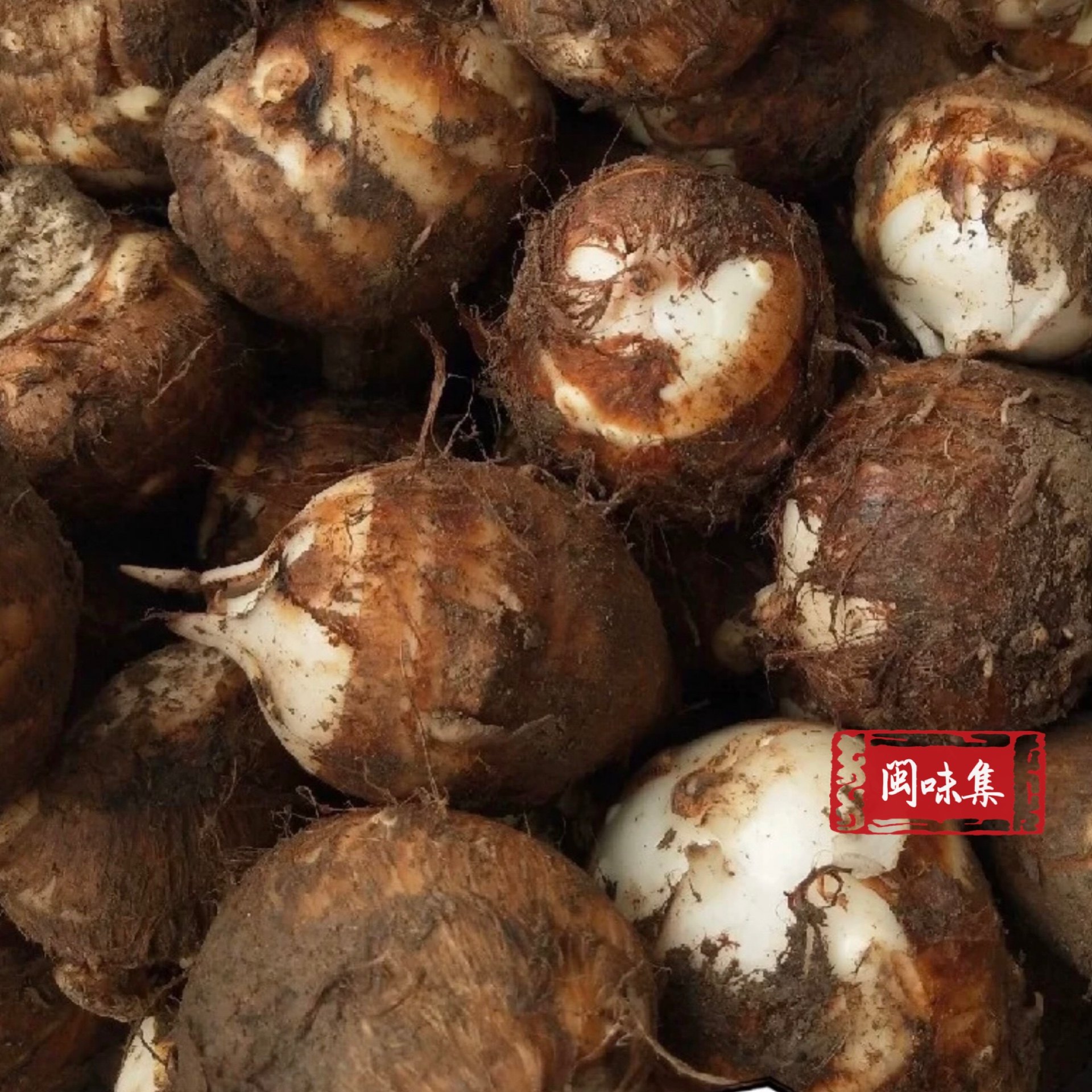 建瓯小芋头现挖白芽芋毛芋仔芋子软滑糯非荔蒲香芋制作芋泥6斤