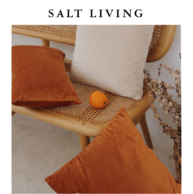SaltLiving复古天鹅绒纯色加厚优质面料靠枕沙发靠垫床上抱枕推荐|ruв категории домашний ткань, подушка/подушка - от Buy2taobao.com для оказания профессиональной услуги покупки агента Taobao