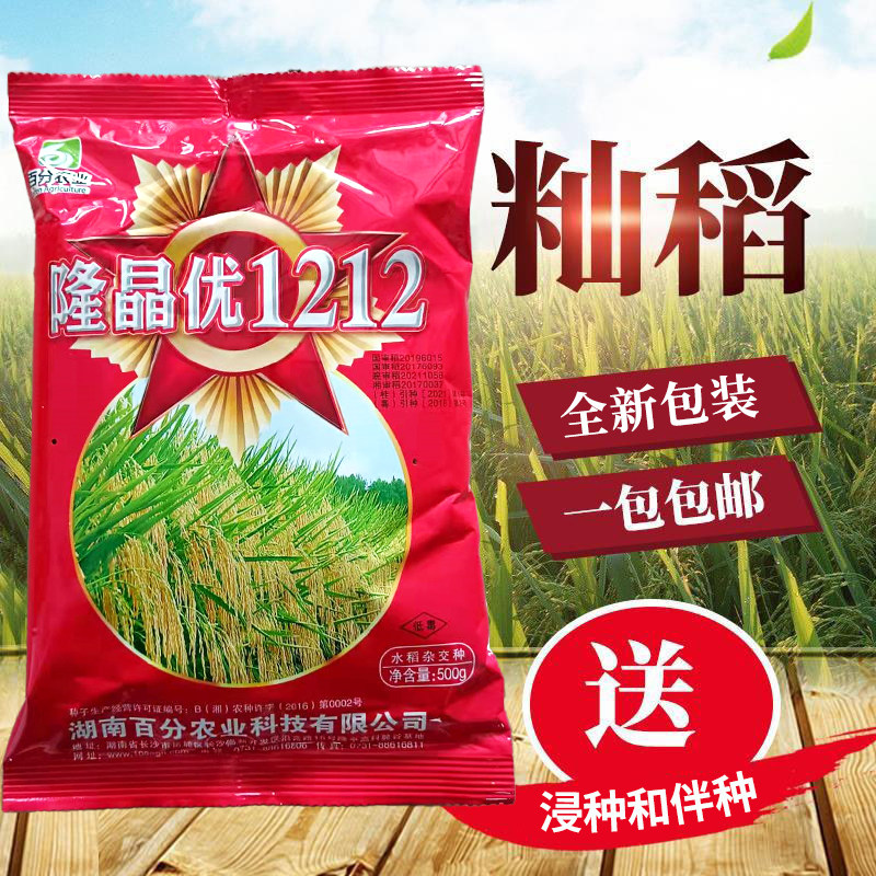 隆晶优1212 杂交水稻 优质稻谷 水稻 中稻 晚稻