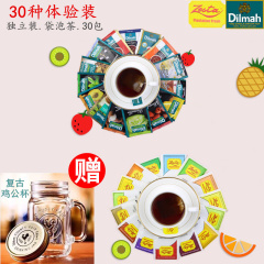 茶包组合30种 滋达Zesta迪尔玛Dilmah袋泡红茶 果味 斯里兰卡进口