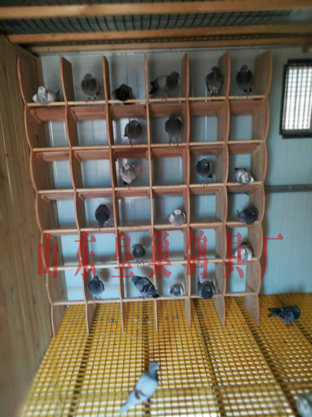 鸽具用品信鸽组合站架纯实木栖架栖息架赛鸽信鸽巢箱