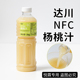 达川NFC冷冻杨桃汁油柑杨桃原材料奶茶店茶饮原料1kg