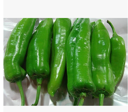 汇鲜蔬果 新鲜蔬菜辣椒 厚皮青椒 500g_不打折现价8.9元