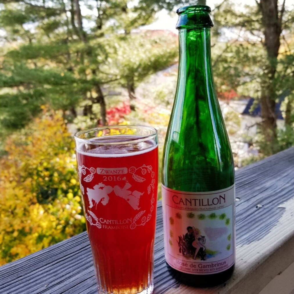 康帝隆 cantillon 酒神的玫瑰 酒神之花 酸啤酒 375ml