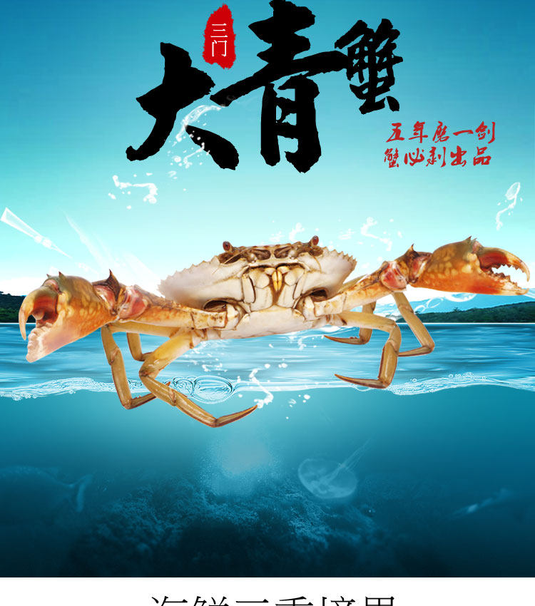 正宗三门青蟹一只一斤大公蟹螃蟹肉蟹海鲜鲜活水产海蟹139元一只