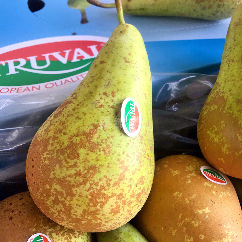 比利时啤梨 4颗 都乐出品 truval啤梨 新鲜水果 梨子 软硬都甜