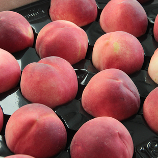 澳洲水蜜桃18-23颗/箱 约7斤 新鲜水果 桃子 澳大利亚