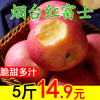 烟台苹果栖霞红富士萍果吃的应季新鲜水果当季整箱5斤10助农家批 烟台苹果栖霞红富士萍果吃的应季新鲜水果当季整箱5斤10助农家批