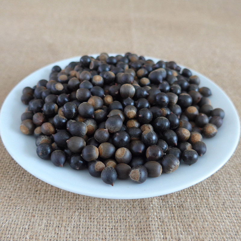 2021江西农家野生新鲜摘板野生小米锥尖栗子米园圆子现货500g