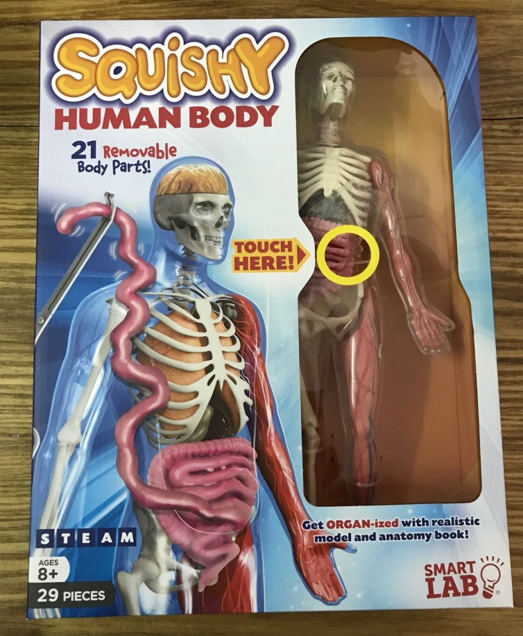 美国squishy human body探索人体器官模型人体拼图smartlab中文版|msdalam kategori Toy/bayi/teka-teki/blok bangunan/model, STEAM玩具/教具, 生命科学, 儿童仿真医学玩具 - dari Buy2taobao.com untuk memberikan perkhidmatan ejen Taobao profesional membeli