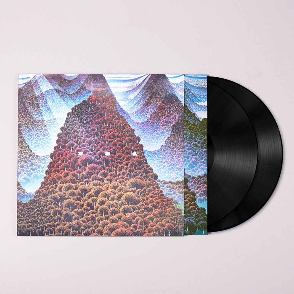 十万个为什么黑胶正版惘闻乐队lp唱片2lp后摇音乐cd