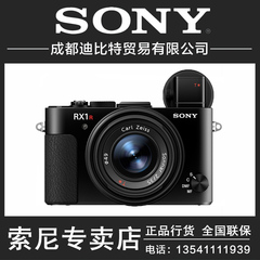 Sony/索尼 DSC-RX1RM2