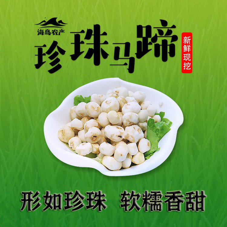 海陵新鲜现挖q弹糯香珍珠马蹄去皮野生小马蹄茡荠椰子鸡配料500克