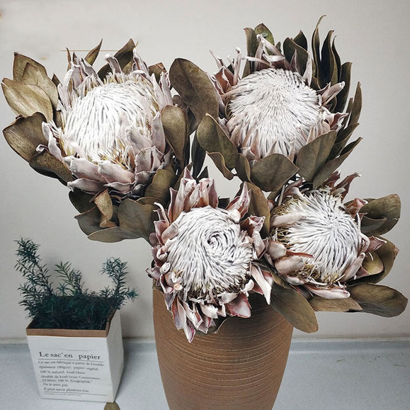 进口帝王花干花花束北欧轻奢永生花客厅家居软装样板间室内造景