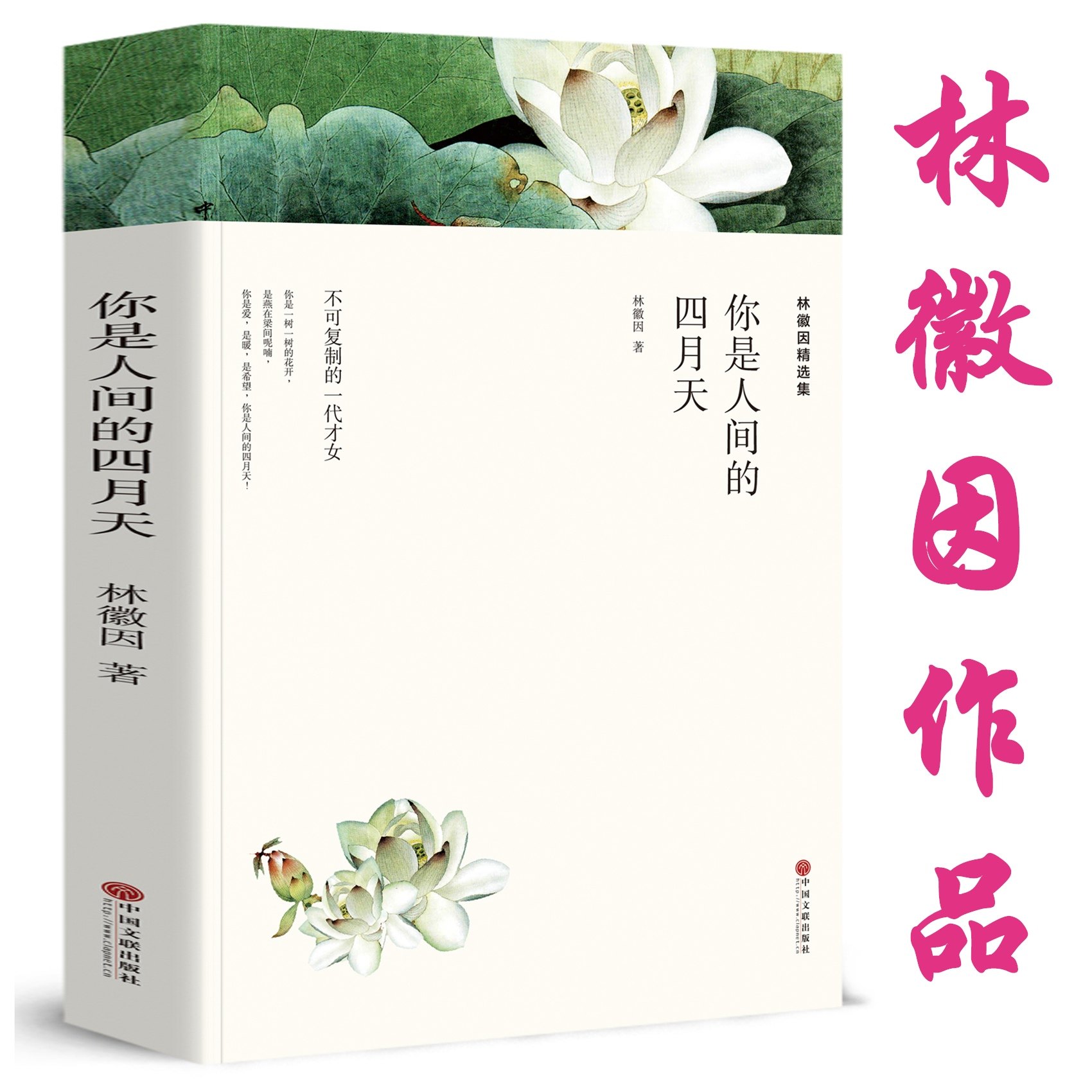 你是人间四月天 林徽因 正版书 经典女作家林徽因的书正版选集你是那