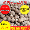 肉蔻500g 包邮玉果 肉果肉扣肉豆蔻 中药材香料调料大全 正己干货 肉蔻500g 包邮玉果 肉果肉扣肉豆蔻 中药材香料调料大全 正己干货