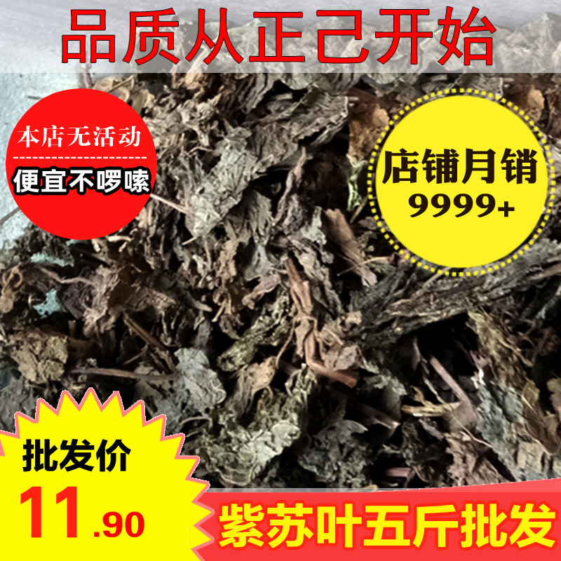 紫苏叶500g 包邮新货野生驱蚊 紫苏叶干 中药材香料正己干货大全在类目 传统滋补营养品, 药食同源食品, 紫苏中 - 来自Buy2taobao.com提供专业的淘宝代购服务
