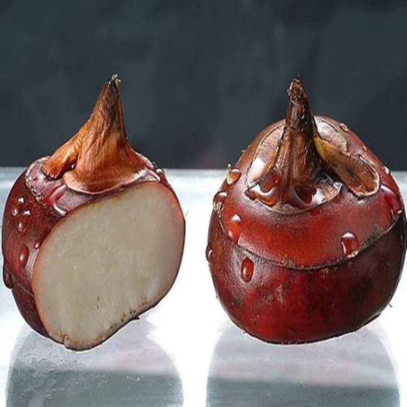 湖北荸荠葧荠马蹄现挖新鲜乌芋清甜多汁农家自种地栗地梨5斤