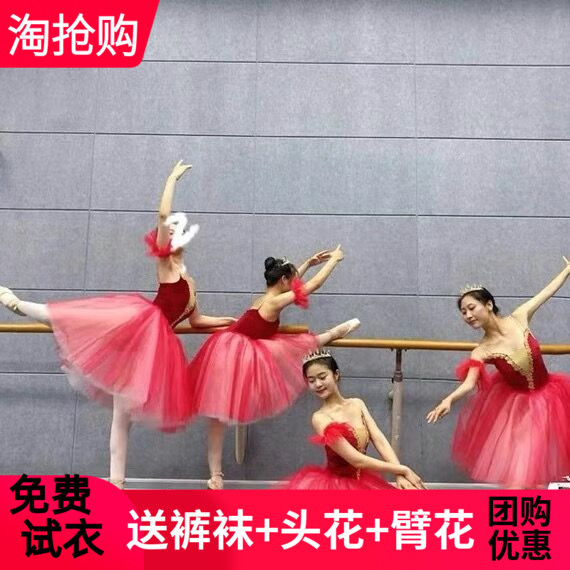 芭蕾舞裙女童成人蓬蓬裙小天鹅湖舞蹈表演服新款公主长纱裙演出服