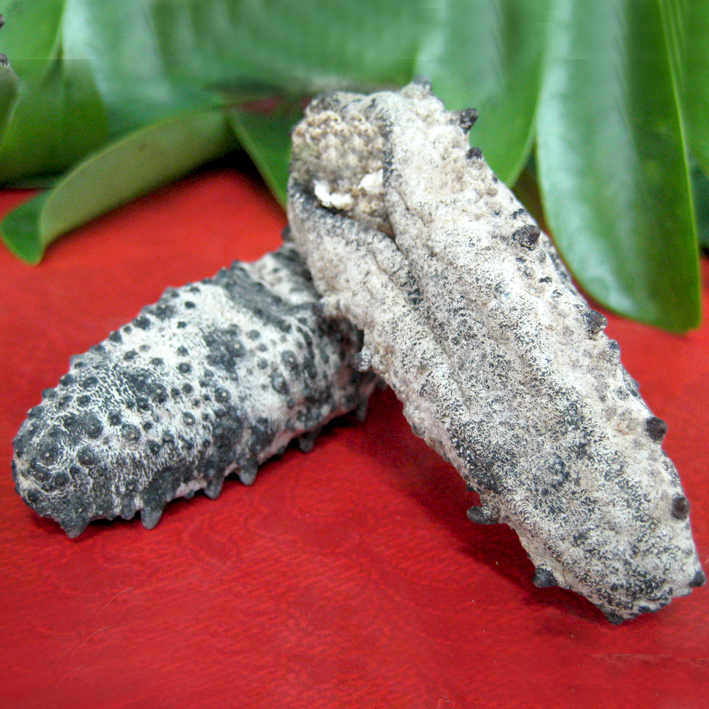 精选南美参海参纯淡干发倍高10-30头口感好刺粗靓货食品营养丰富